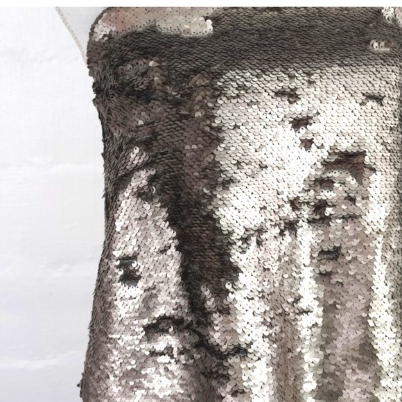 Banana Republic Silver Sequin Chiffon Party Cockta - Picture 8 of 11